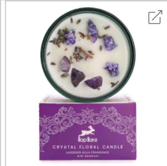 Candle hop hare The moon