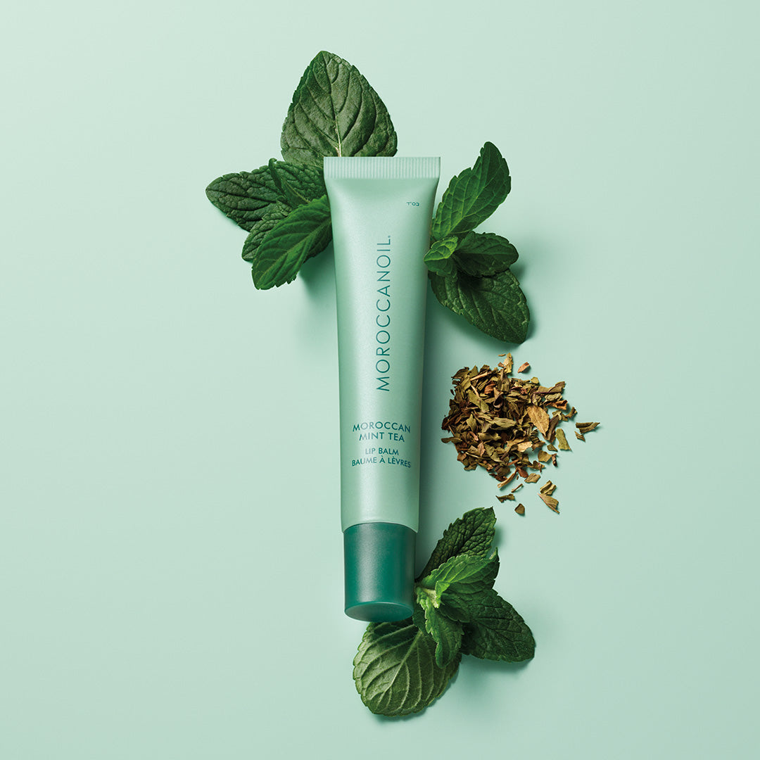 Moroccanoil Lip Balm 15g