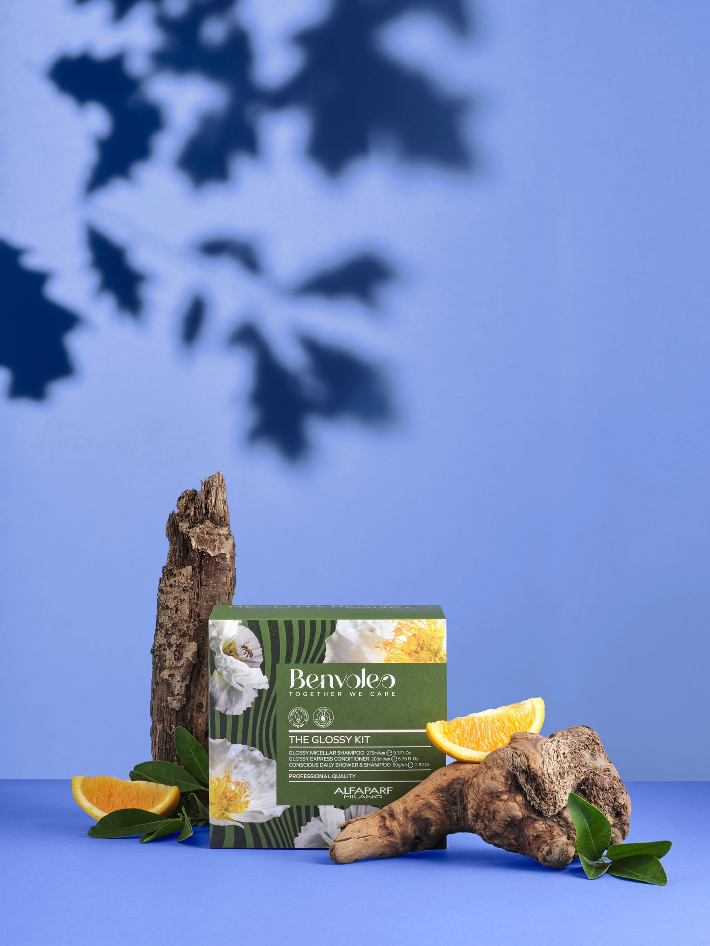 Benvoleo The Glossy kit