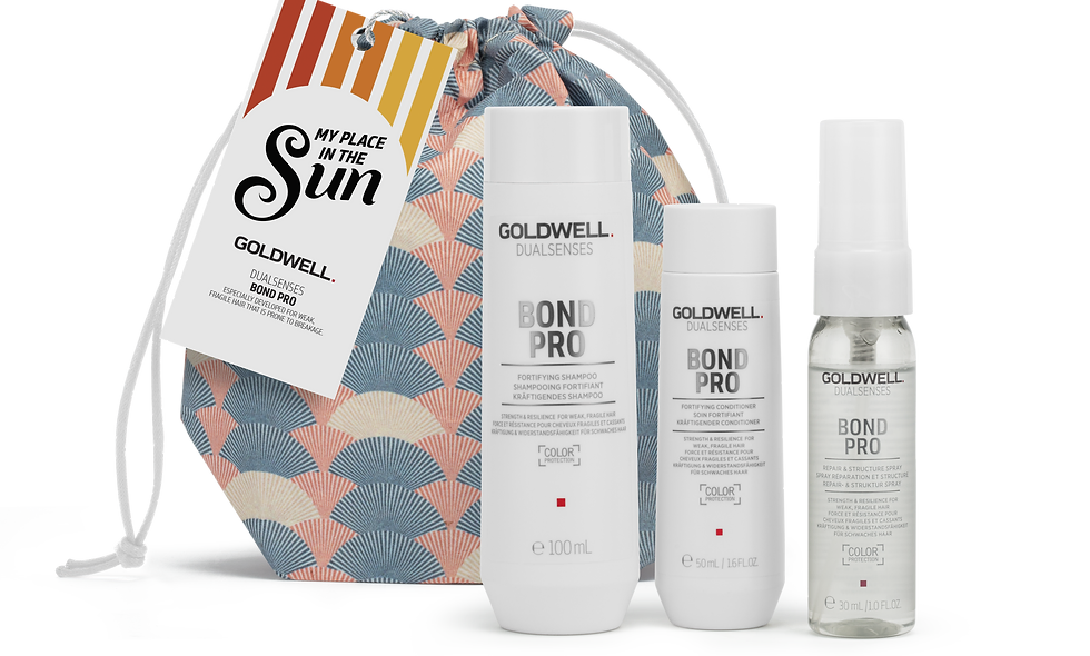 Goldwell Dualsenses Bond Pro Mini Travel Set